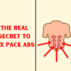 How To Get A Six Pack Workout How To Get A Six Pack Workout